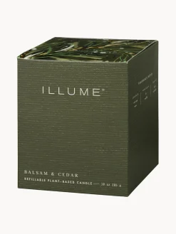 Recambio de vela perfumada Refill (agujas de pino, canela y musgo de roble)