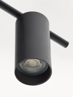 Riel grande Cassandra