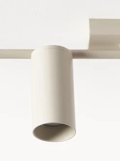 Riel grande Cassandra