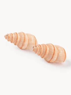 Salero y pimentero artesanales de dolomita Shell, 2 uds.