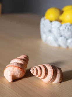 Salero y pimentero artesanales de dolomita Shell, 2 uds.