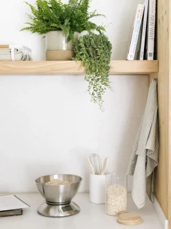 Set de utensilios de cocina Botta, 5 pzas.