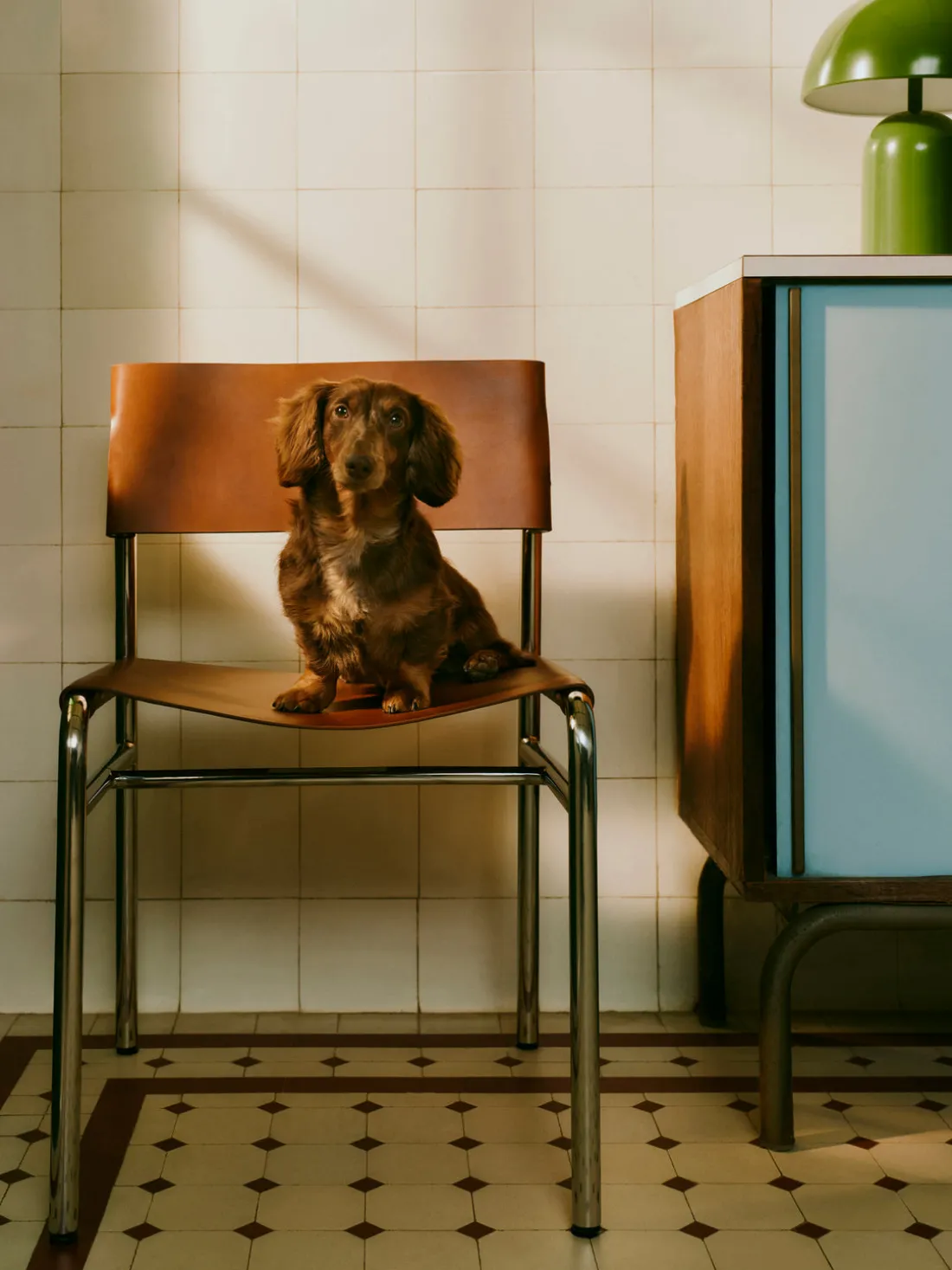 Silla de cuero Jordan