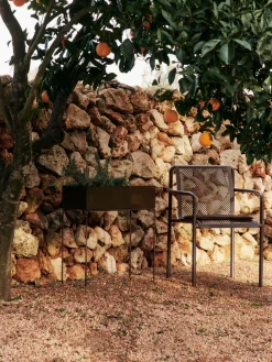 Sillas con reposabrazos de jardín Dapple, 2 uds.