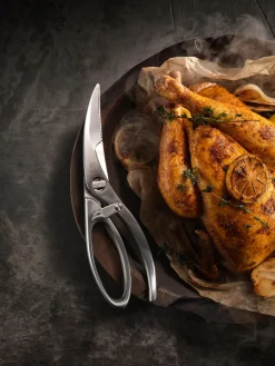 Tijeras de acero inoxidable Twin