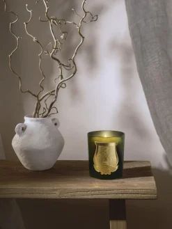 Vela perfumada artesanal Ernesto (clavo, ládano, madera de roble, pachulí)