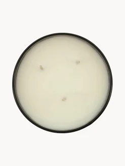 Vela perfumada de tres mechas Dark Wood (nuez moscada, clavo y ámbar)