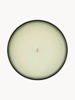 Vela perfumada Oud Leaf (rosa, madera de cedro, jazmín, iris y lirio de los valles)