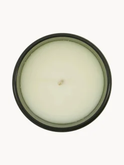 Vela perfumada pequeña Oud Leaf (rosa, madera de cedro, jazmín, lirio y lirio de los valles)