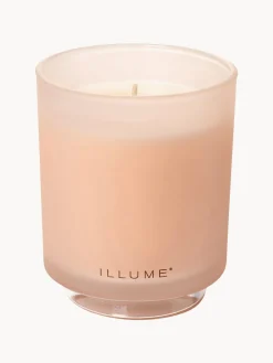 Vela perfumada Refill (coco, mango & vainilla de Tahití)