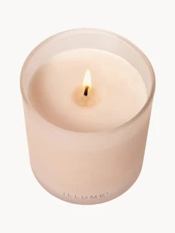 Vela perfumada Refill (coco, mango & vainilla de Tahití)